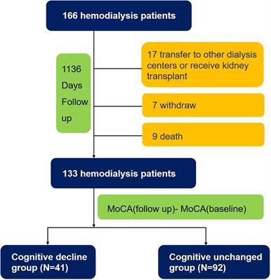 Association between cognitive function and skeletal muscle in patients undergoing maintenance hemodialysis